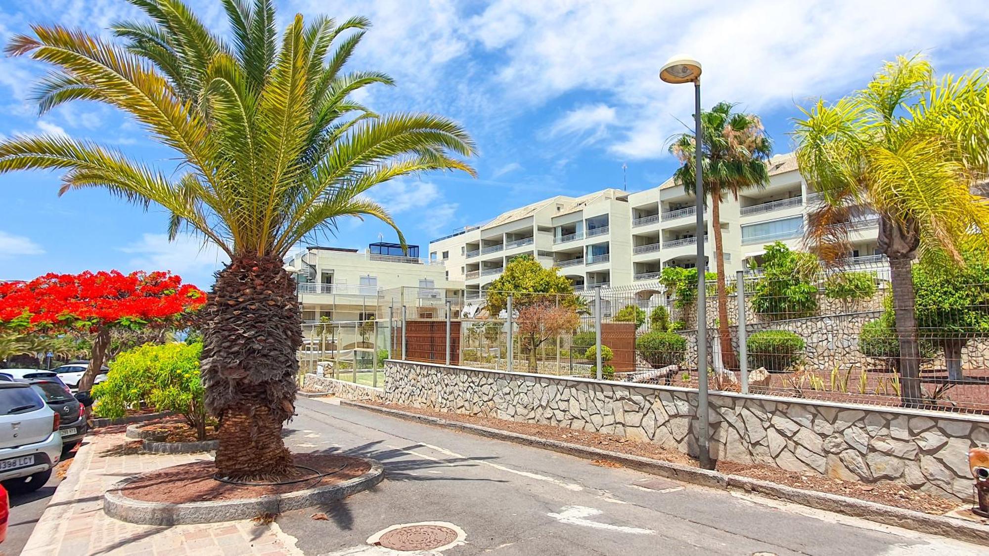 Appartement Terraza Sea & Sun à Palm-mar Extérieur photo