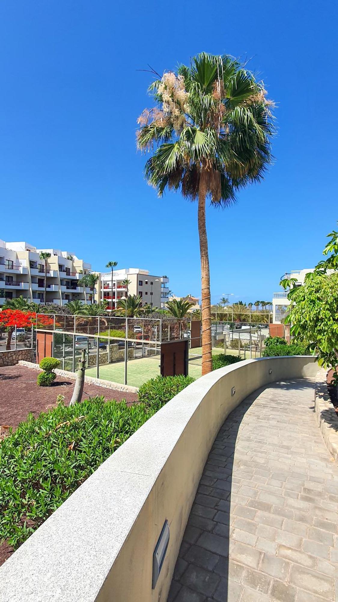 Appartement Terraza Sea & Sun à Palm-mar Extérieur photo
