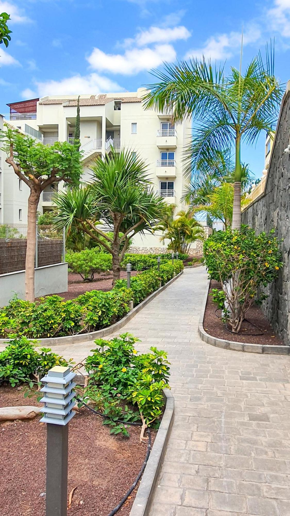 Appartement Terraza Sea & Sun à Palm-mar Extérieur photo